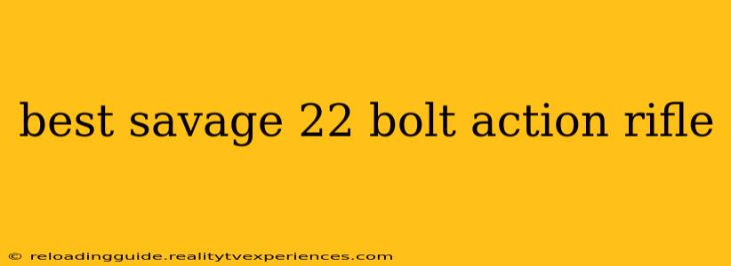 best savage 22 bolt action rifle