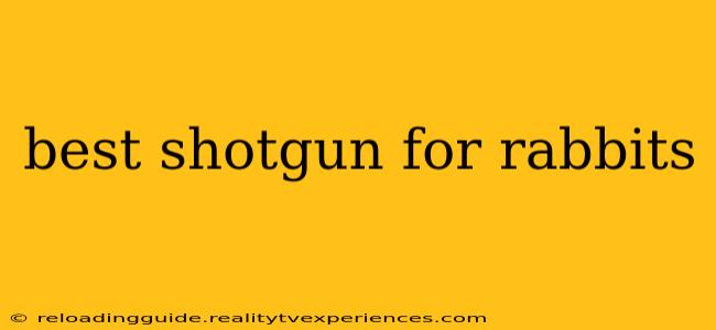 best shotgun for rabbits