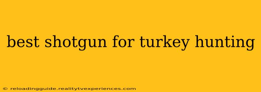 best shotgun for turkey hunting