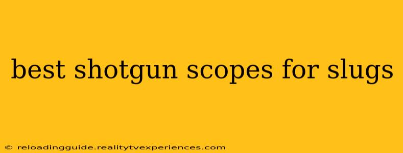 best shotgun scopes for slugs