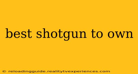 best shotgun to own