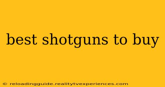 best shotguns to buy