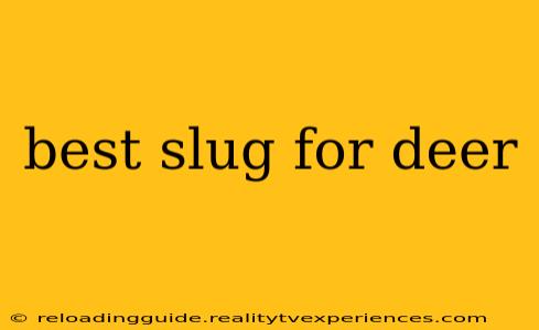 best slug for deer