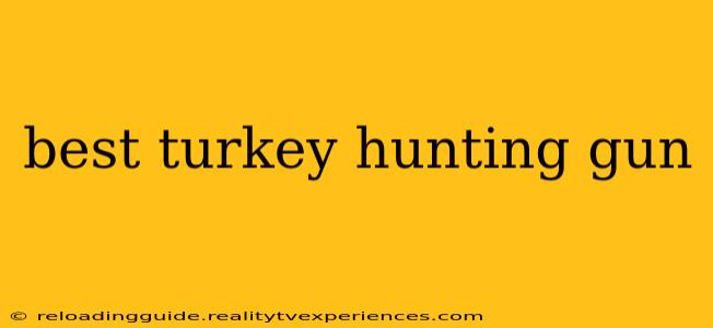 best turkey hunting gun