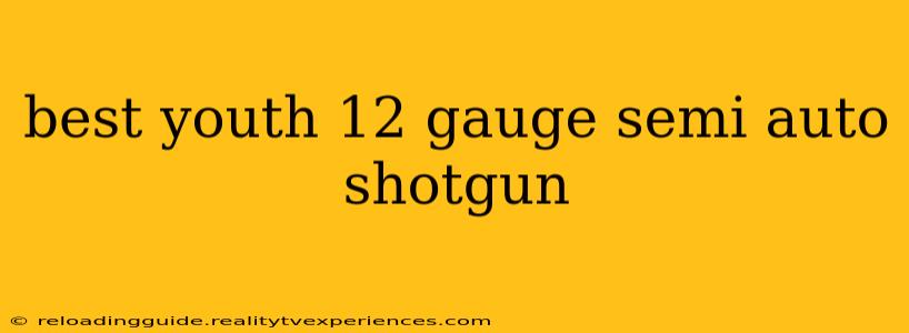 best youth 12 gauge semi auto shotgun