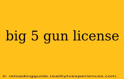 big 5 gun license