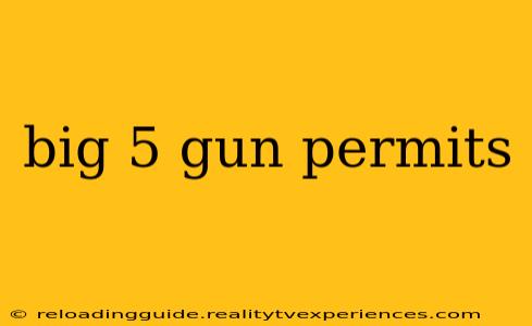 big 5 gun permits