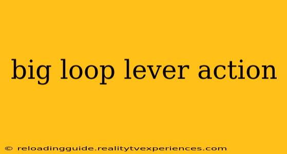 big loop lever action