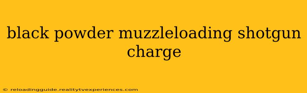 black powder muzzleloading shotgun charge