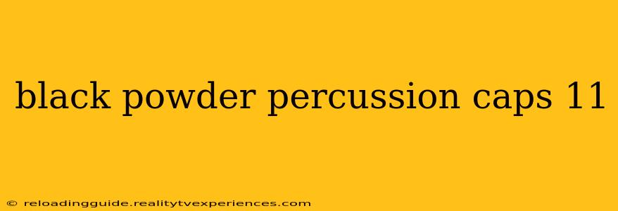 black powder percussion caps 11