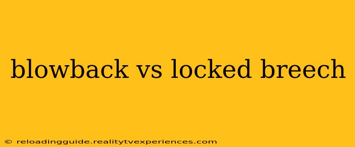 blowback vs locked breech