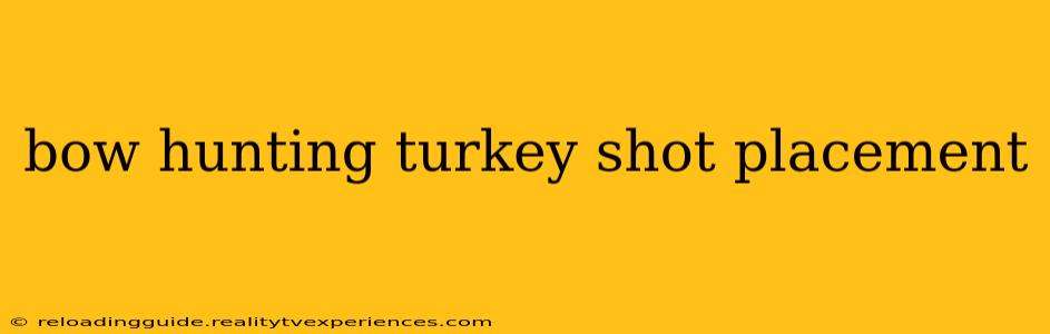 bow hunting turkey shot placement