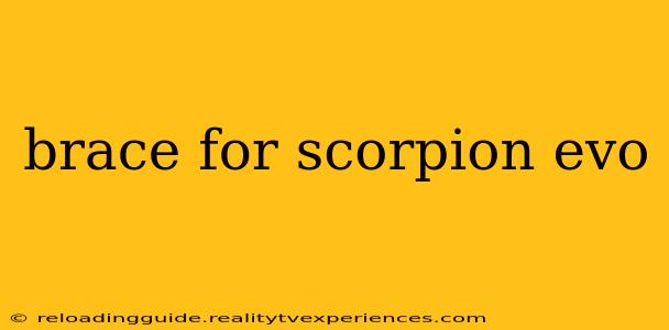 brace for scorpion evo