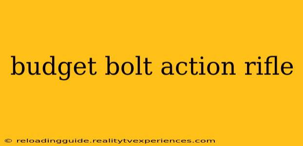 budget bolt action rifle