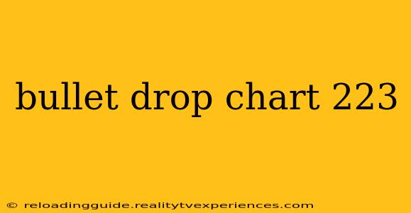 bullet drop chart 223