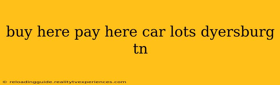 buy here pay here car lots dyersburg tn