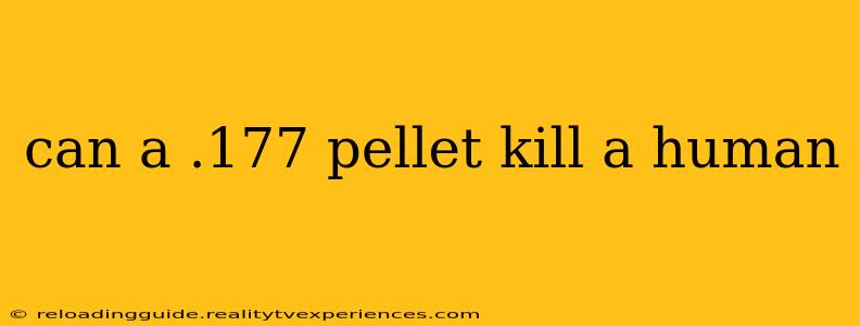 can a .177 pellet kill a human