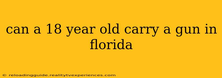 can a 18 year old carry a gun in florida