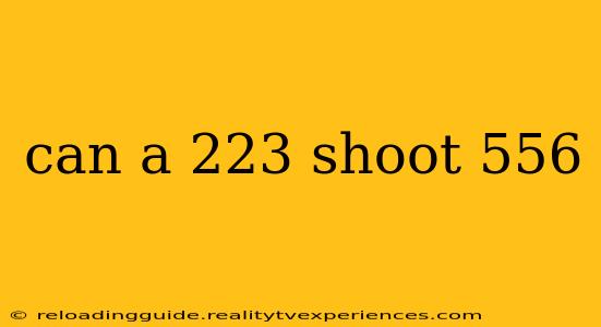 can a 223 shoot 556