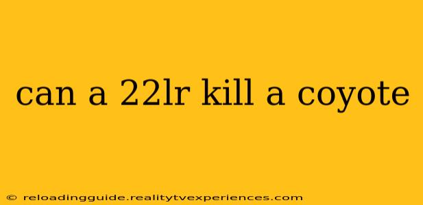 can a 22lr kill a coyote