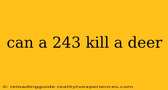 can a 243 kill a deer