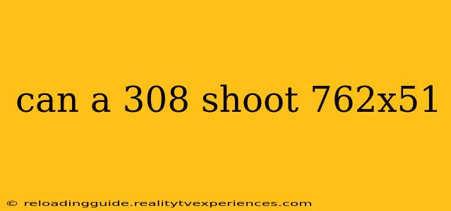 can a 308 shoot 762x51