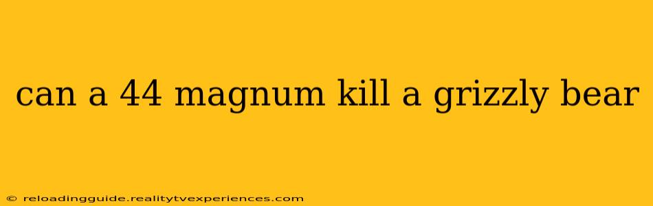 can a 44 magnum kill a grizzly bear