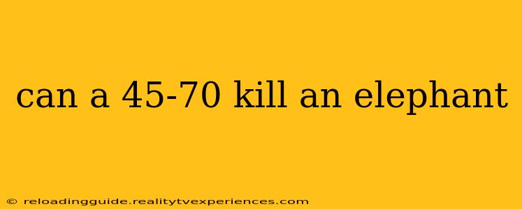 can a 45-70 kill an elephant