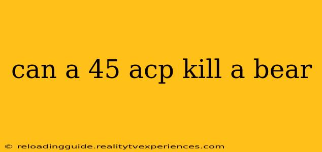 can a 45 acp kill a bear