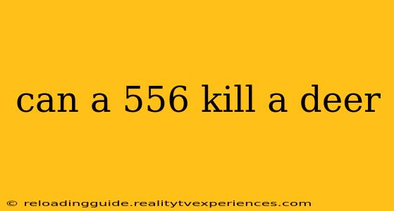 can a 556 kill a deer