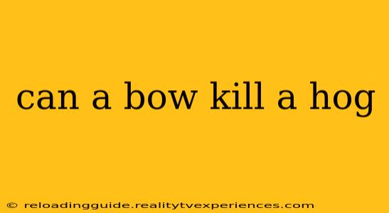 can a bow kill a hog