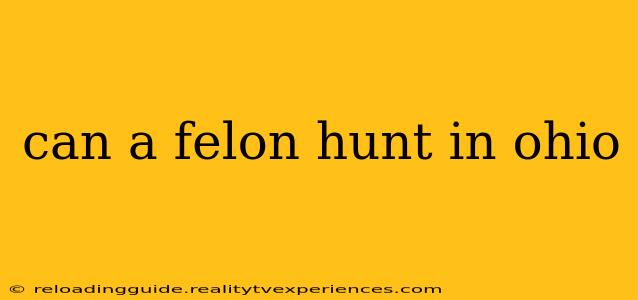 can a felon hunt in ohio