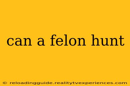 can a felon hunt