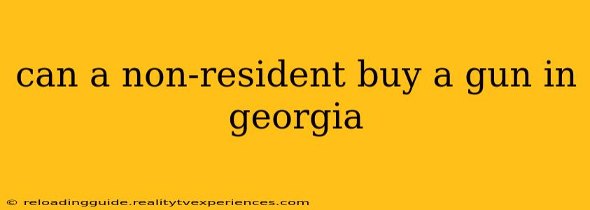 can a non-resident buy a gun in georgia