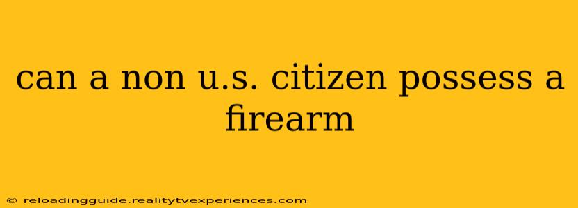 can a non u.s. citizen possess a firearm