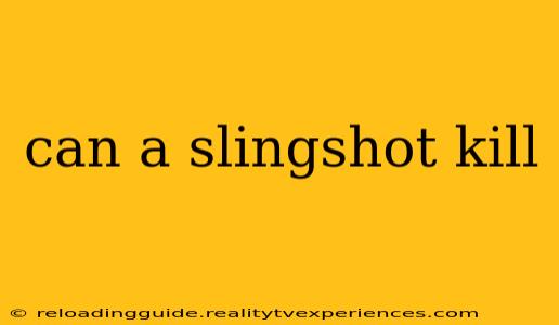 can a slingshot kill