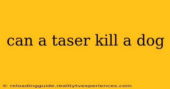 can a taser kill a dog