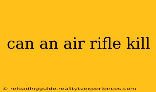 can an air rifle kill