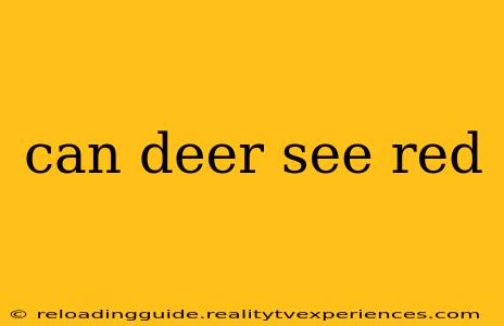 can deer see red