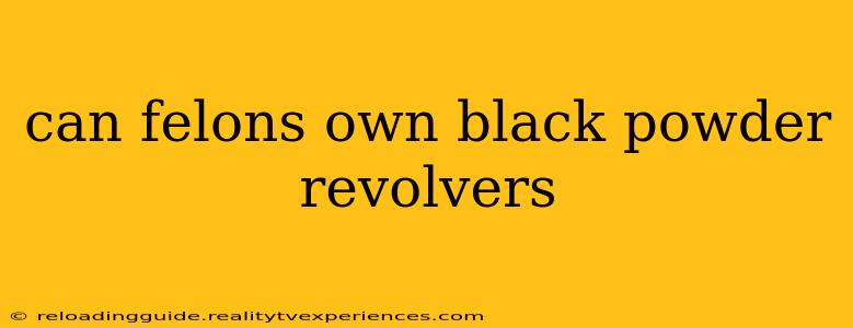 can felons own black powder revolvers