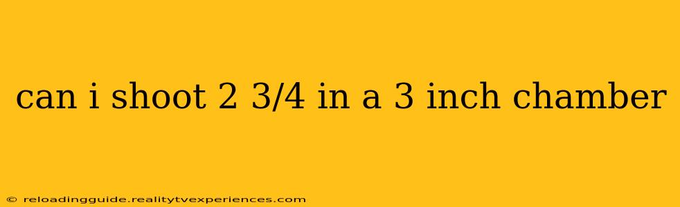 can i shoot 2 3/4 in a 3 inch chamber