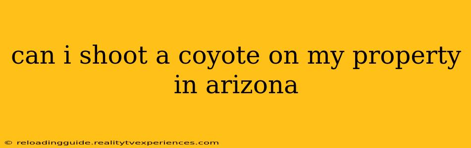 can i shoot a coyote on my property in arizona