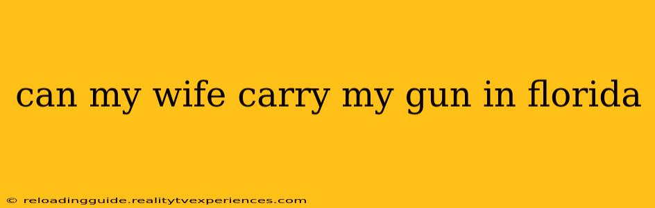 can my wife carry my gun in florida