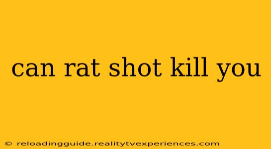 can rat shot kill you