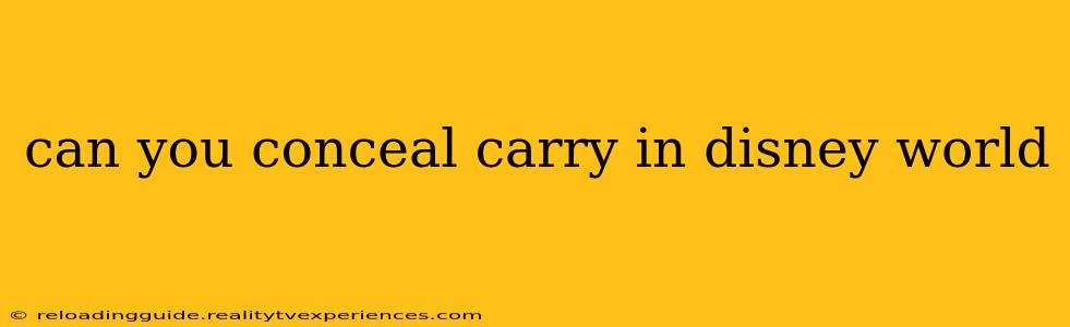 can you conceal carry in disney world