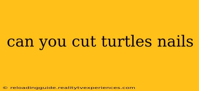 can you cut turtles nails