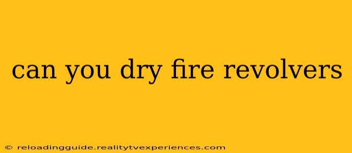 can you dry fire revolvers