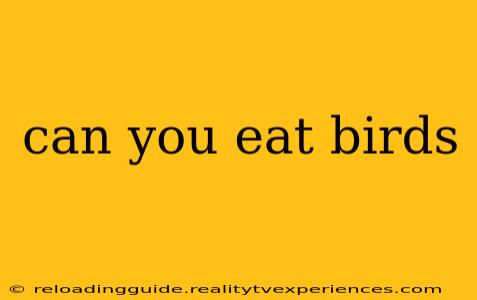 can you eat birds