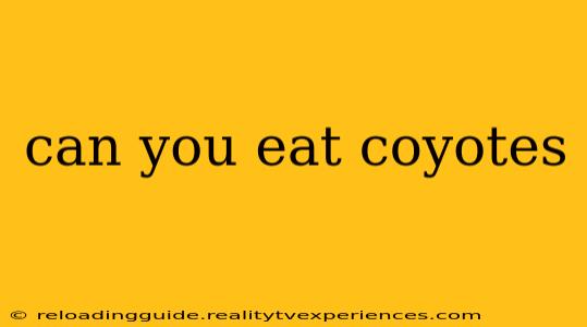 can you eat coyotes