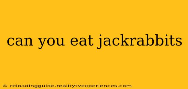 can you eat jackrabbits